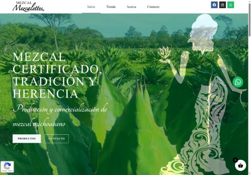 mezcalettes.com capture - 2025-07-11 08:04:31