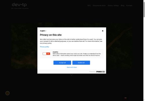 dev-tp.com capture - 2025-07-11 15:55:00