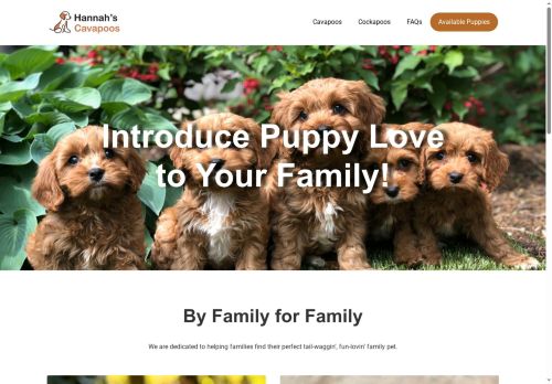 ohiocavapoos.com capture - 2025-07-11 16:39:10