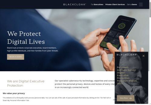 boardcybersecurity.com capture - 2025-07-11 17:11:32