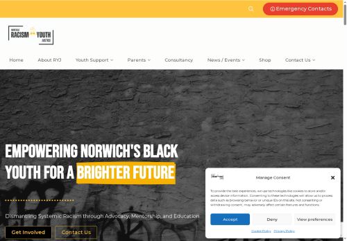 racismyouthjustice.co.uk capture - 2025-07-12 09:51:55