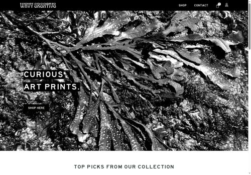 wavycreative.co.uk capture - 2025-07-12 10:30:00