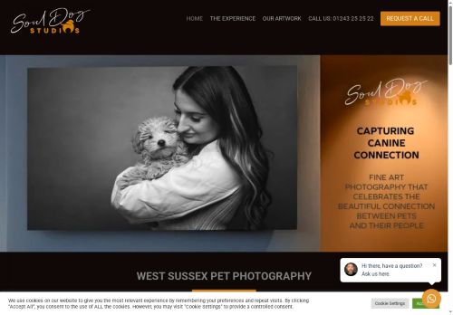 souldogstudios.co.uk capture - 2025-07-12 12:58:03