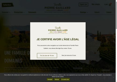 gaillard.vin capture - 2025-07-12 14:06:20