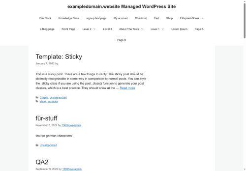 exampledomain.website capture - 2025-07-12 15:52:08