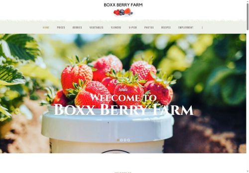 boxxberryfarm.website capture - 2025-07-12 16:15:48