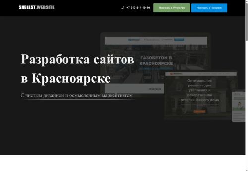 shelest.website capture - 2025-07-12 16:15:48