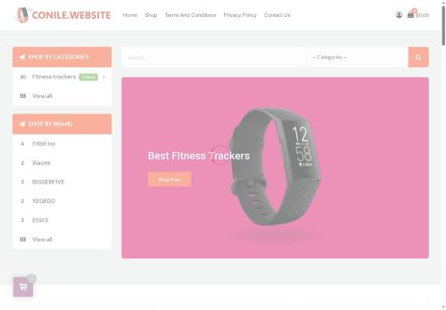 conile.website capture - 2025-07-12 16:17:28