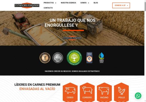 byteems.website capture - 2025-07-12 17:24:15