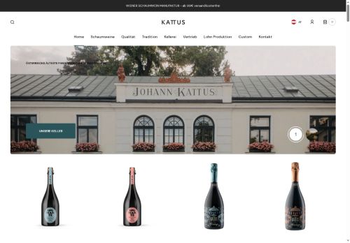 johann-kattus.wien capture - 2025-07-12 17:45:37