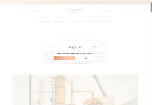 salcombeginschool.uk capture - 2025-07-12 20:48:37