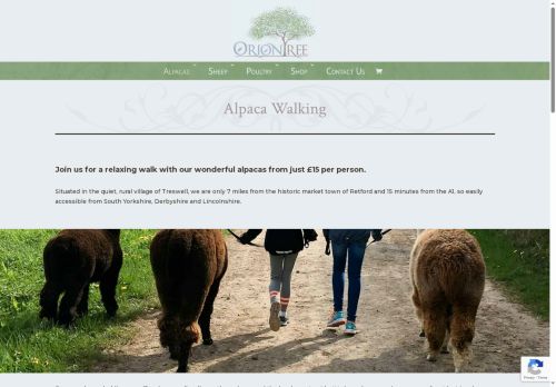walkingwithalpacas.uk capture - 2025-07-12 22:03:59