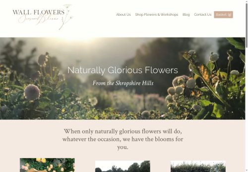 wallflowers.uk capture - 2025-07-12 22:03:59