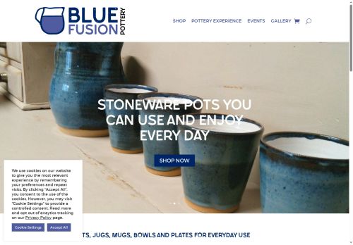 bluefusionpottery.co.uk capture - 2025-07-12 22:35:28