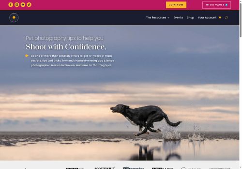 thattogspot.co.uk capture - 2025-07-13 01:36:27