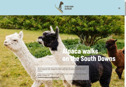 studfarmalpacas.co.uk capture - 2025-07-13 14:13:10