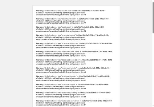 elizz.uk capture - 2025-07-13 15:43:38