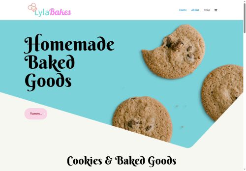 lylabakes.xyz capture - 2025-07-13 18:56:07