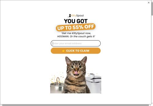 KittySpout CA capture - 2025-07-14 01:04:48