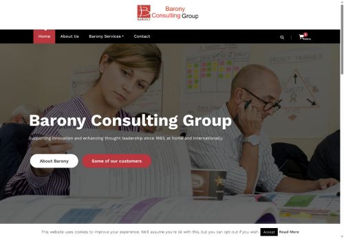 baronyconsulting.co.uk capture - 2025-07-14 10:34:18