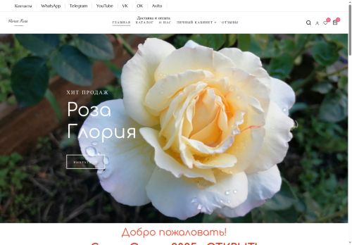 xn----9sbtwecnmi1g.xn--p1ai capture - 2025-07-15 03:50:05