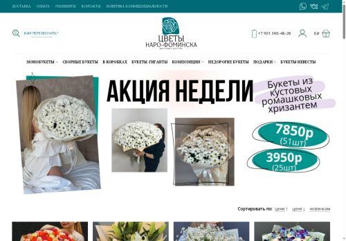 xn--24-dlcm6b1arj2c.xn--p1ai capture - 2025-07-15 04:36:38