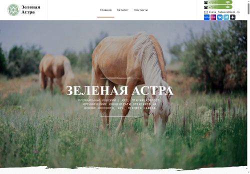 xn--80aaarak3ar3ajl7m.xn--p1ai capture - 2025-07-15 04:39:23