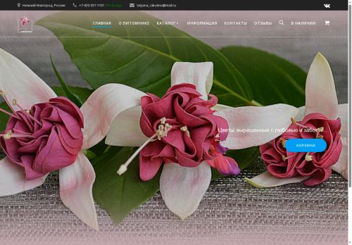 xn--80aqdb5aemh.xn--p1ai capture - 2025-07-15 04:48:17