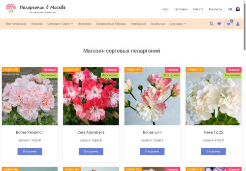xn----7sbbkbievaey0aggkti.xn--p1ai capture - 2025-07-15 04:55:19