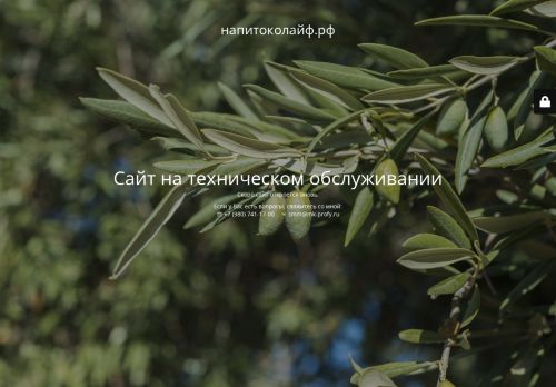 xn--80aaxfdgkkbg8a4a.xn--p1ai capture - 2025-07-15 05:58:32