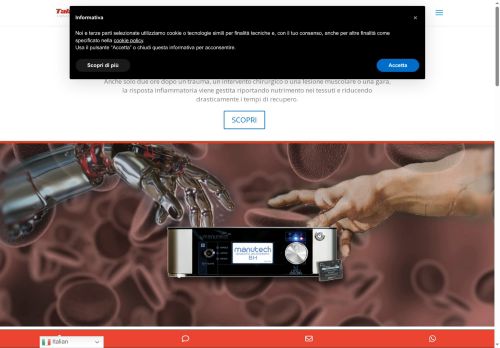 talamontigroup.solutions capture - 2025-07-15 18:19:16