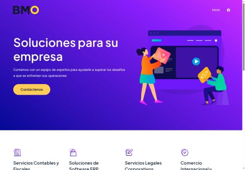 bmogroup.solutions capture - 2025-07-15 18:19:16