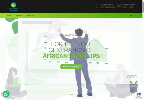 steadystate.solutions capture - 2025-07-15 18:26:38