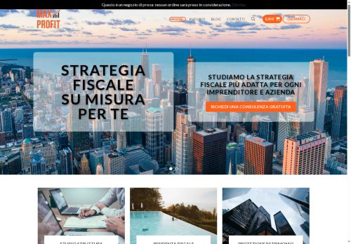 maxprofit.solutions capture - 2025-07-15 18:28:29