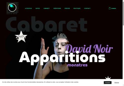 davidnoir.space capture - 2025-07-15 18:58:03