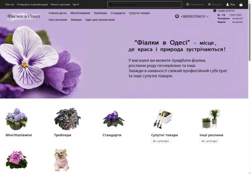 fialkiodesa.space capture - 2025-07-15 19:38:32