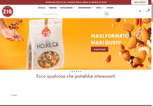 zig.srl capture - 2025-07-15 19:47:30