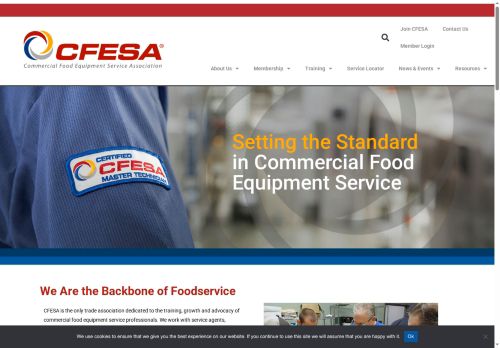 cfesa.store capture - 2025-07-16 00:49:55