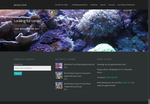 jerseycoral.co.uk capture - 2025-07-16 03:28:26