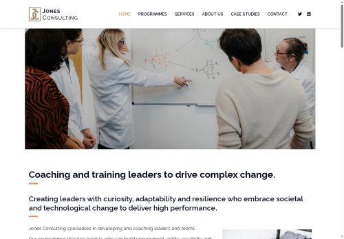 jonesconsulting.org.uk capture - 2025-07-16 03:40:17