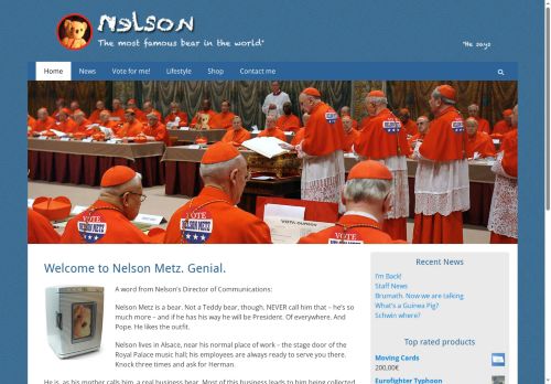 nelsonmetz.co.uk capture - 2025-07-16 08:50:25