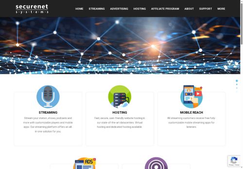 securenetsystems.co.uk capture - 2025-07-16 15:28:09