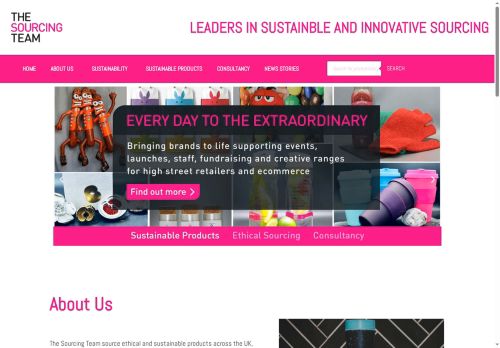 thesourcingteam.co.uk capture - 2025-07-16 19:40:48