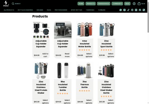 ozizo.store capture - 2025-07-17 00:59:33