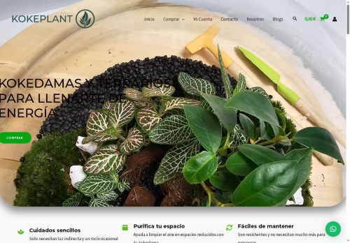 terrarioplantas.store capture - 2025-07-17 04:35:26