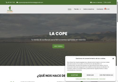 copesanjose.store capture - 2025-07-17 04:52:52