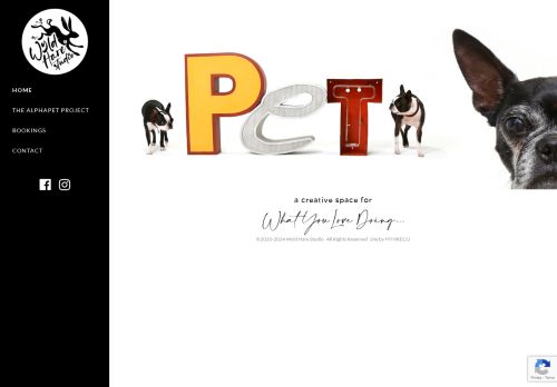 wyldhare.studio capture - 2025-07-17 06:08:30