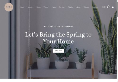 svitlo.studio capture - 2025-07-17 06:25:57