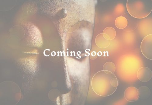 solstar.studio capture - 2025-07-17 06:42:01