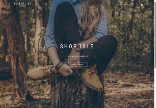 bollard.su capture - 2025-07-17 07:05:24